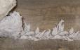 Кружево расшитое № 13836SB фото
