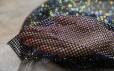 Сітка стрейч стрази № 704/0.5м х 0.5м  фото