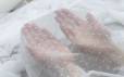 Сітка стрейч № 1602/04 фото